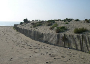 treillage dune